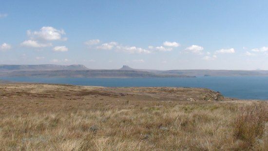Sterkfontein Dam Nature Reserve
